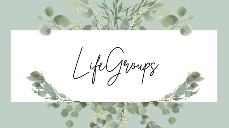 lifegroups for women 19